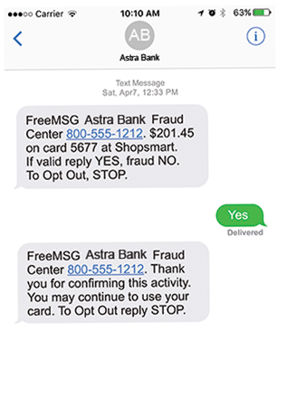 Fraudulent Text Alert Example